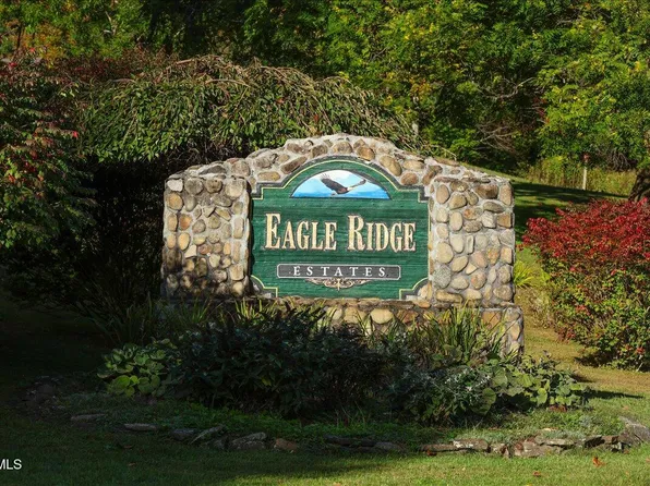 Tbd Eagle Ridge Rd, Roan Mountain, TN 37687