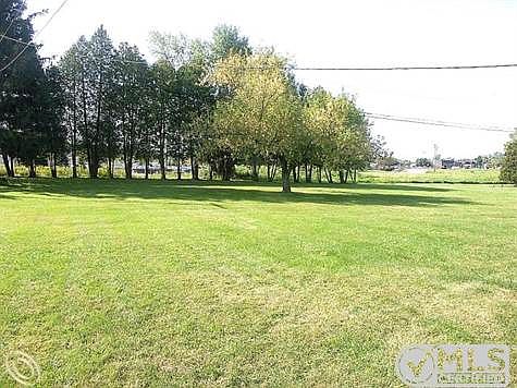 Large Lot