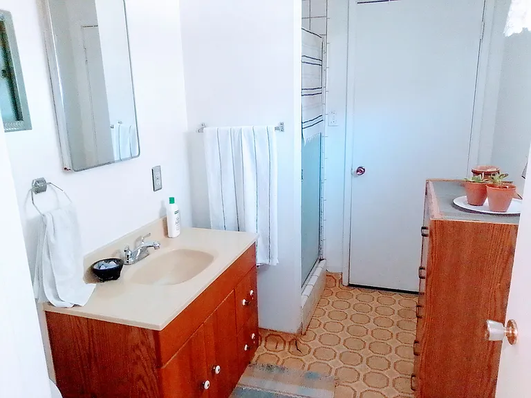 Bathroom #2 with Shower, both bathrooms will be made accessible