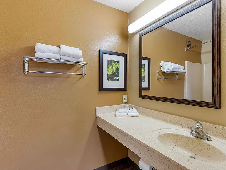 Studio Suite - 1 Queen Bed