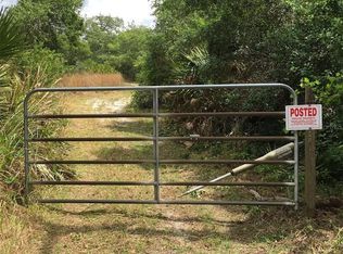 1333 Hancock Lone Palm Rd, Orlando, FL 32828