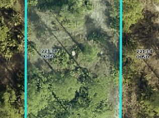 411 Tremaine St, Lehigh Acres, FL 33972