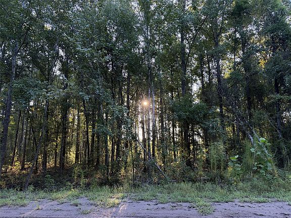 2nd image of LOT 278 Little Magnolia Ln