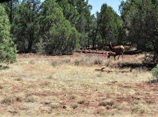 LOT 191 Leaning Pine Ln, Pinehill, NM 87357