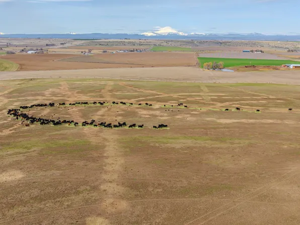 (undisclosed Address), Madras, OR 97741