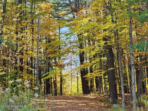 L15.12 W OFC Richmondville Road, Richmondville, NY 12149