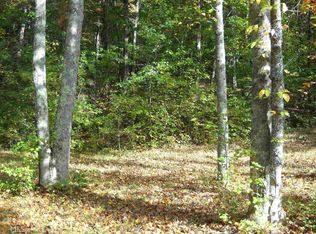 0 Cove Lake Rd, Cleveland, GA 30528