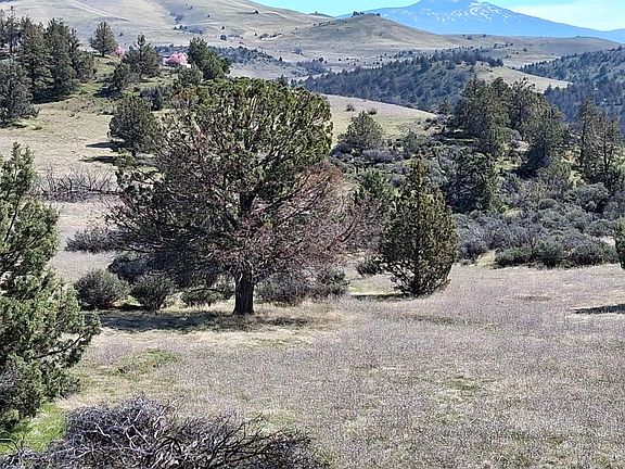 5th image of LOT 768 Ruff Way