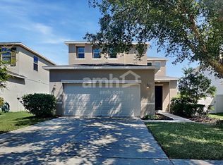 9616 Maxson Dr, Land O Lakes, FL 34638