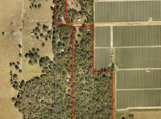 415 Hal Colding Rd, Lithia, FL 33547