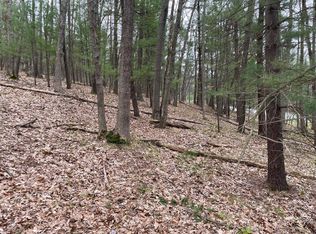 PARCEL Coates Hwy #A, Brethren, MI 49619