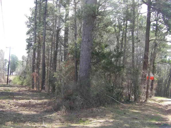 Us Highway 149 S, Longview, TX 75603