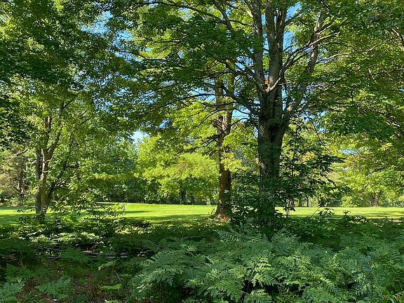 3rd image of 58 Fairway Hollow Dr