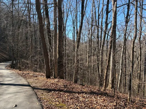 0 Parker Farm Rd, Franklin, NC 28734