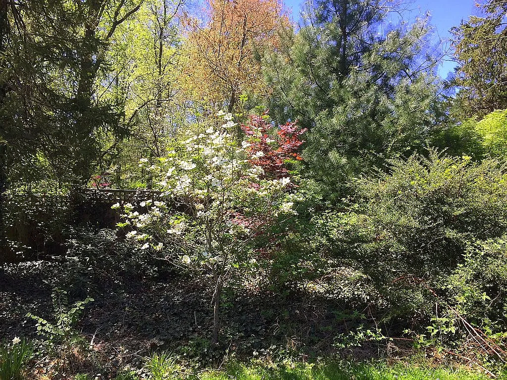 254 Dodds Ln photo 1