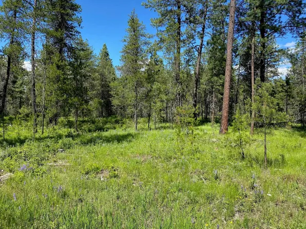 2400 W Montgomery Rd Lot B, Deer Park, WA 99006
