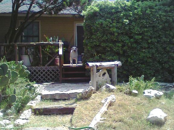 Looking at house from back yard