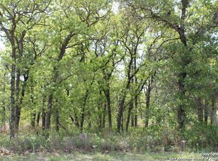 305 Hollow Rdg, La Vernia, TX 78121