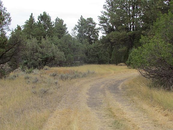 4th image of 47 Cedar Ridge Rd