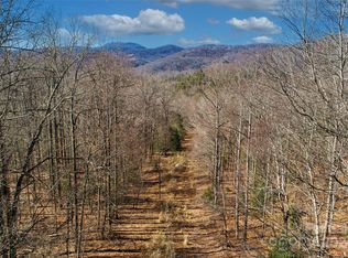 51 Shumont Rd, Black Mountain, NC 28711