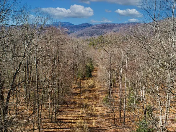 51 Shumont Rd, Black Mountain, NC 28711