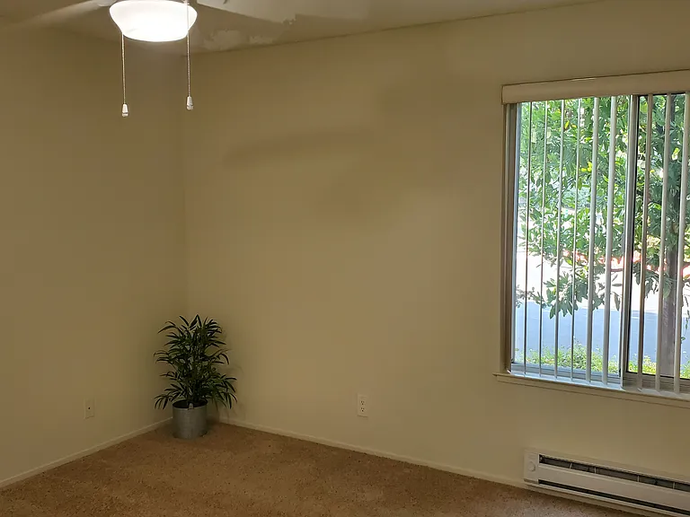 Live Oak Apartments — Photo 155