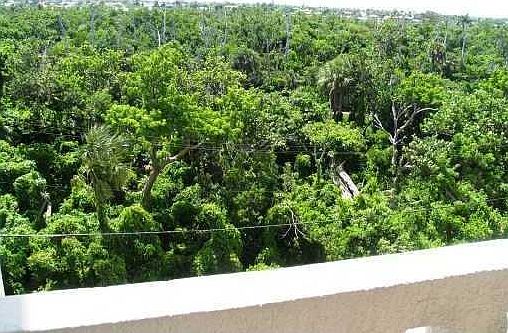 4th image of 1200 N Ft Lauderdale Beach #203