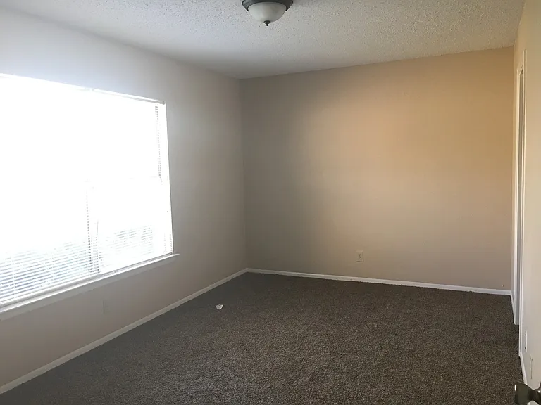 8251 Sunshine Trail Dr — Photo 7