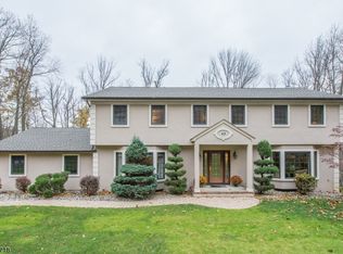 49 Birch Run Ave, Denville, NJ 07834