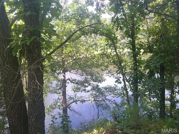 41.58 Acres Hwy #47, Cadet, MO 63630