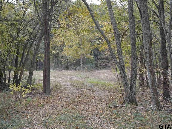 4th image of 0 Fm 2966 Cres #1843