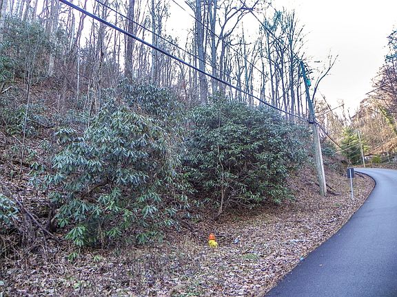 4th image of Heiden Dr