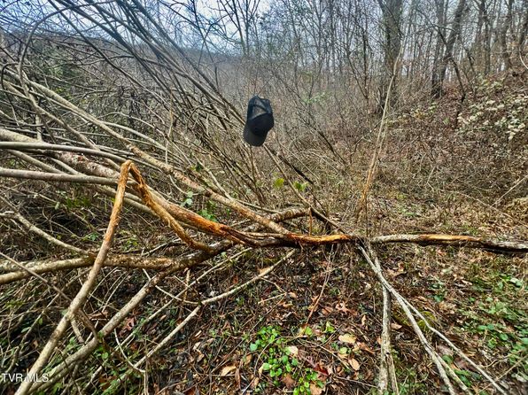 274/AC Snake Hollow Rd, Sneedville, TN 37869