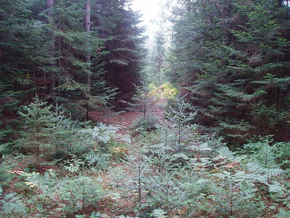 5th image of 0 Pieper Road
