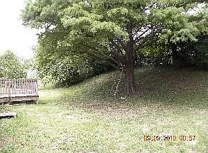 3rd image of 3606 E 70th St
