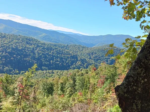 Rattlesnake Rdg Lot 19 & 31, Butler, TN 37640