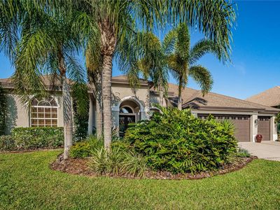 5132 Jewell Ter, Palm Harbor, FL, 34685