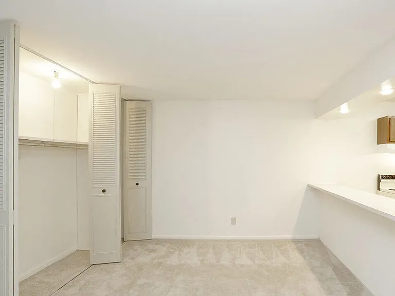 Living Room Closet