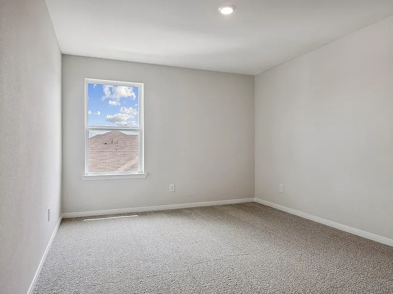 10343 Red Cardinal Dr — Photo 16