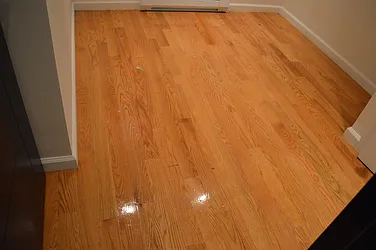 Rented by CoSo Apartments