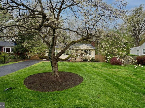 3rd image of 10727 Scott Dr