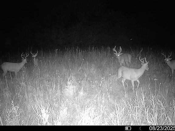 3rd image of 23600 S Slick Rd