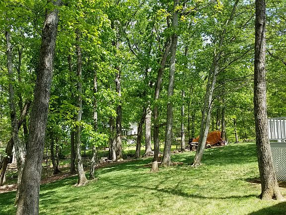 Huge back yard