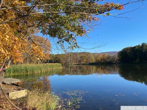 1258 Lakeview Rd, Copake, NY 12516