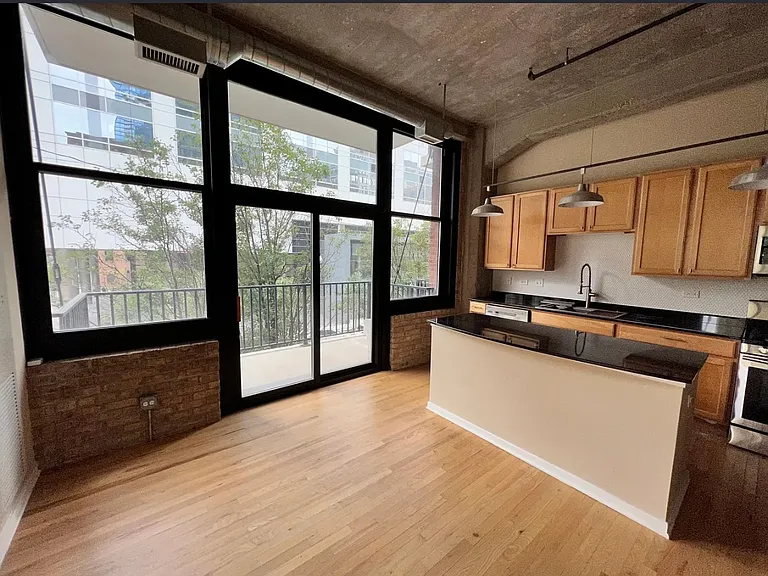 210 S Desplaines St #207 — Photo 3