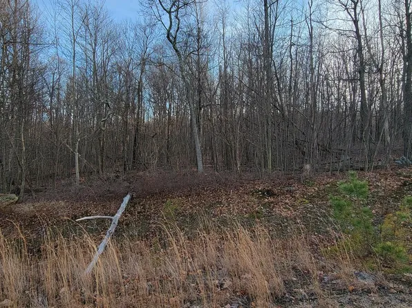 195 Stoney Mountain Dr, Sugarloaf, PA 18249