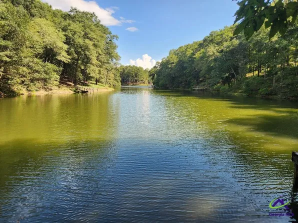 0 Lake Susie Rd, Hawkinsville, GA 31036