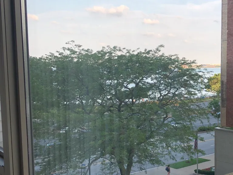 1550 N Lake Shore Dr #4D — Photo 11