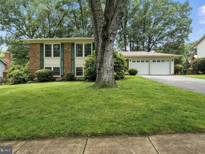 8823 Newport Ct, Springfield, VA, 22153