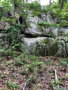 County Road 664, Valley Head, AL, 35989